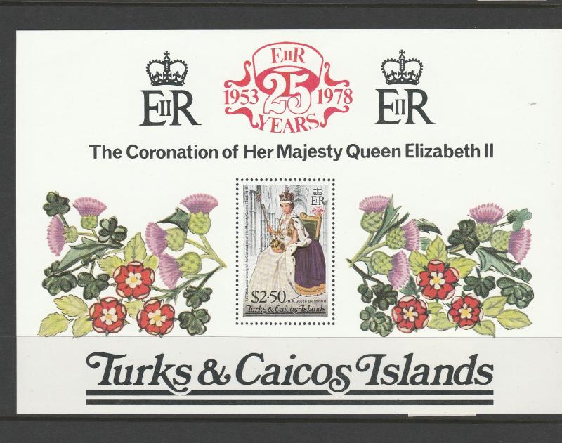 TURKS AND CAICOS #346 MINT SOUVENIR SHEET