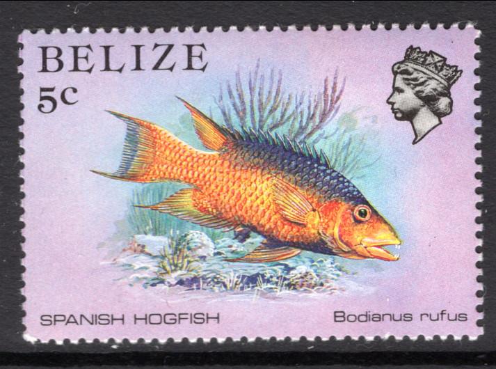 Belize 703 Fish MNH VF