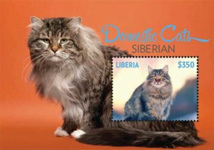 Liberia 2014 - DOMESTIC CATS SIBERIAN - Souvenir Stamp Sheet - Scott #3018 - MNH