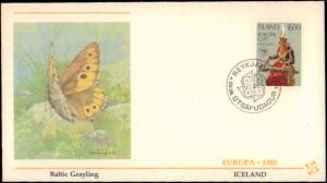 Iceland, Europa, Worldwide First Day Cover, Butterflies