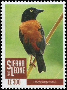 Sierra Leone 2016 Sc 3747 Bird Weaver