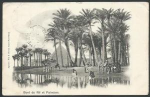 EGYPT TO TASMANIA 1903 Postcard, to Cressy with arrival cds................59625