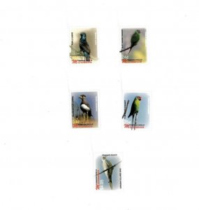 Micronesia 2006 - Birds - Set Of 5 Definitive Stamps - Scott #684-90 - MNH