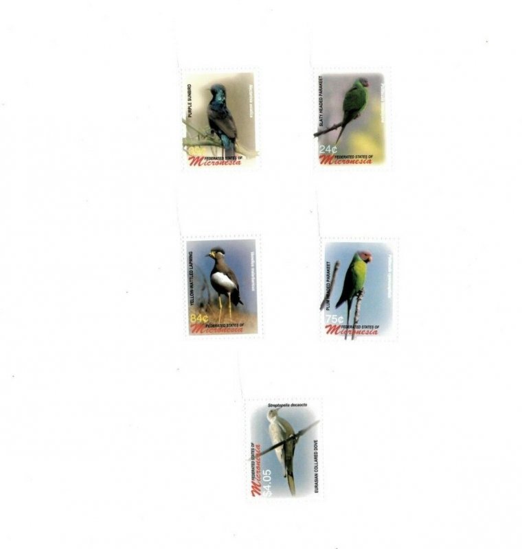 Micronesia 2006 - Birds - Set Of 5 Definitive Stamps - Scott #684-90 - MNH