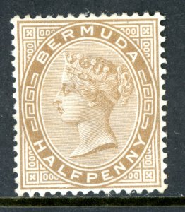 Bermuda 1880 QV ½p Brown Wmk CCC P14 Scott #16 Mint W591  ⭐⭐⭐⭐⭐⭐