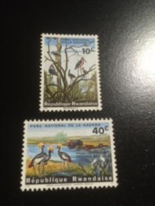 Rwanda sc 99,102 MH birds