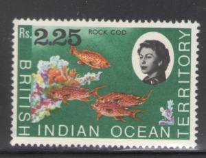 British Indian Ocean Territory 1968 Rock Cod 2.25r Scott # 30 MH