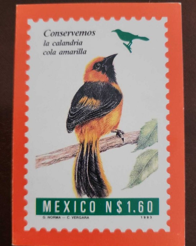 O) 1993  MEXICO, MEXICO CONSERVA - LET'S CONSERVE, BIRD - CALANDRIA COLA...