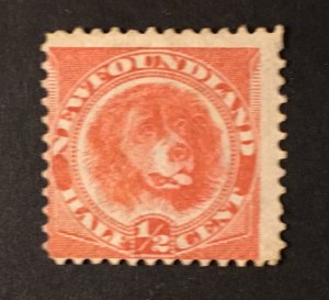 Newfoundland Sc. #56 mint hinged