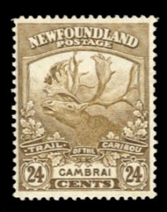 Newfoundland #125 Cat$90, 1919 24c bister, never hinged