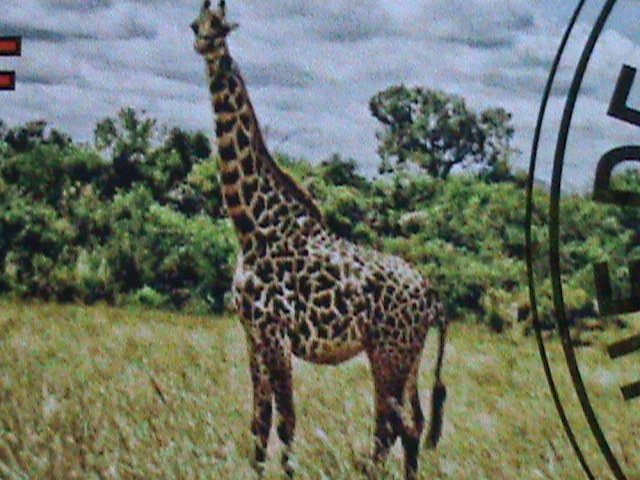 ​DJIBOUTI-2010- COLORFUL BEAUTIFUL LOVELY GIRAFES CTO S/S -VERY FINE