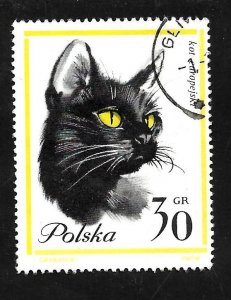 Poland 1964 - U - Scott #1216