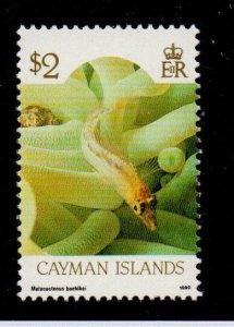 Cayman Is. 572b Mint Never Hinged