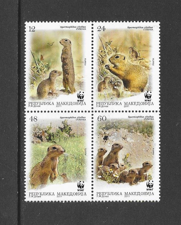 MACEDONIA #581 SQUIRREL  WWF  MNH