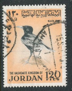 Jordan #588 Used