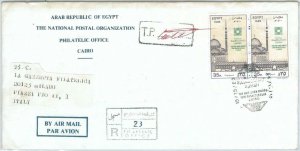 73953 - EGYPT  - POSTAL HISTORY - OFFICIAL FDC COVER  with INFORMATION  1989