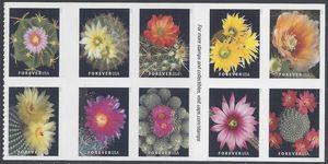 #5350-5359 (55c Forever) Cactus Flowers Header Block of 10 2019 Mint NH