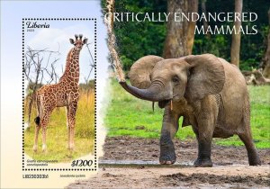 LIBERIA- 2023 - Critically Endangered Mammals -Perf Souv Sheet-Mint Never Hinged