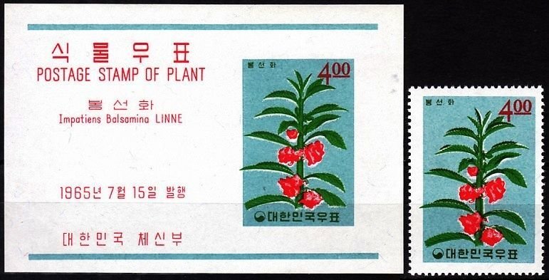 KOREA SOUTH 1965 FLORA Plants (VII): Garden Balms Blossom, MNH