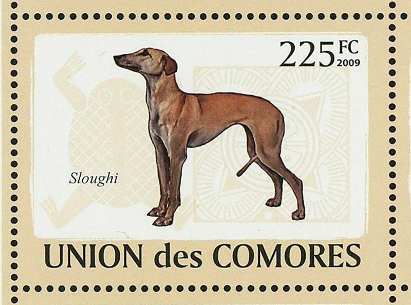 Dogs Stamp Aidi Sloughi Boerboel Basenji Azawakh Africanis S/S MNH #2135-2140