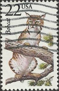 # 2332 USED BOBCAT