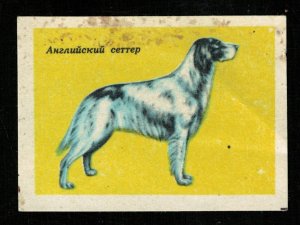 Dog breed: English seter, Matchbox Label Stamp (ST-78)