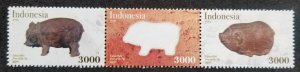 Indonesia Year Of Pig 2019 Lunar Chinese Zodiac (stamp) MNH *embossed *unusual