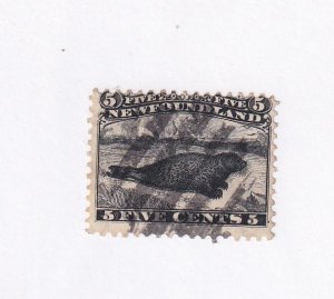 NEWFOUNDLAND # 26  VF-USED 5cts HARP SEAL CAT VALUE $300 (HARPIESEAL)