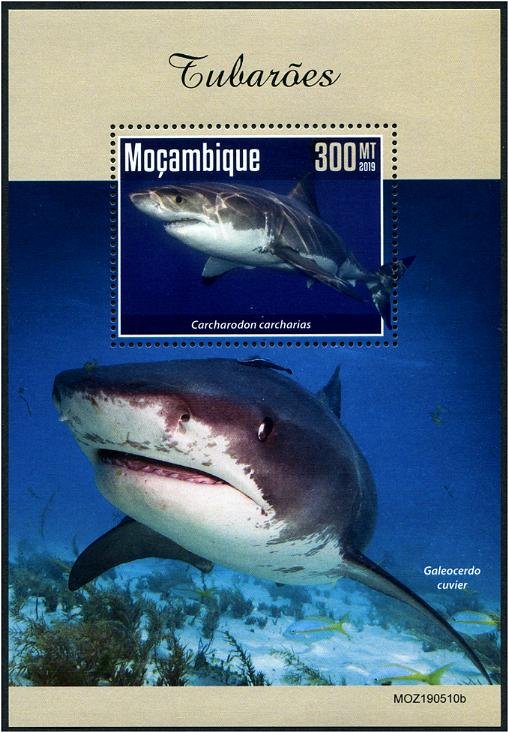 2019 Mozambique Sharks SS (Scott NA) MNH