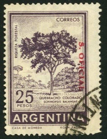 Argentina - SC #O141 - USED - 1960 - Item ARG149