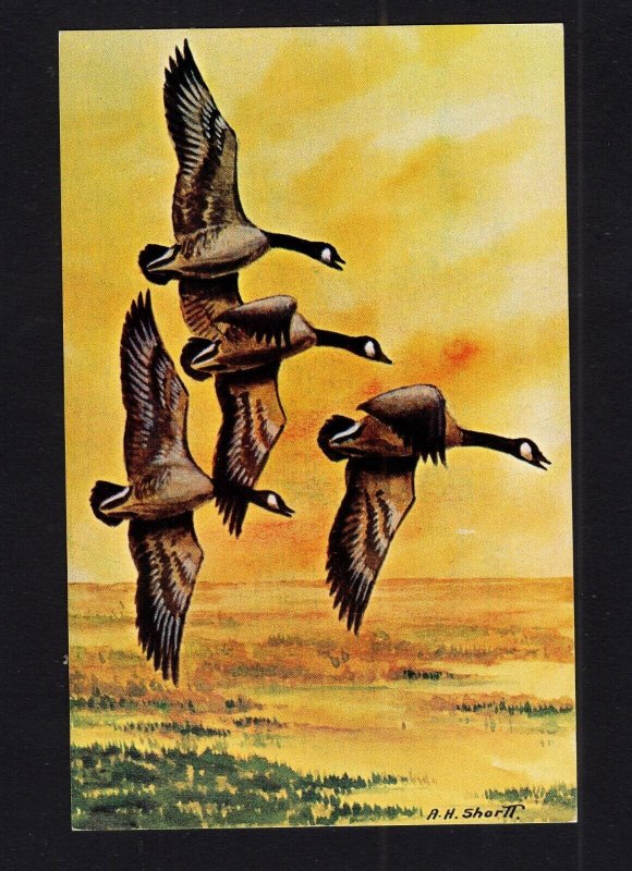 Canada #415 ( 1963  Geese issue)  Bileski-B Maxi-Card addressed, signed