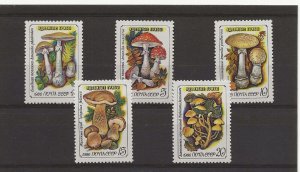 Russia 1986 Fungi set of 5 sg.5651-5   MNH