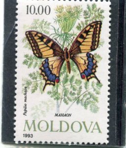 Moldova 1993 BUTTERFLIES 1 Stamp Perforated Mint (NH)