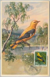 63815 - SWITZERLAND - POSTAL HISTORY: MAXIMUM CARD 1969 -  birds  PRO JUVENTUTE