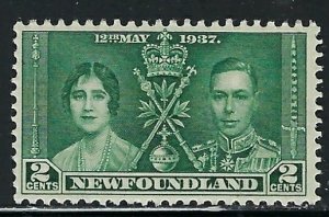 Newfoundland 230 MNH 1937 issue (fe7447)