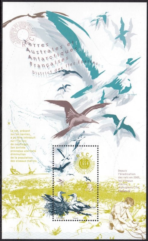 TAAF FRANCE ANTARCTIC 2023 BIRDS OISEAUX VOGEL UCCELLO AVES FSAT