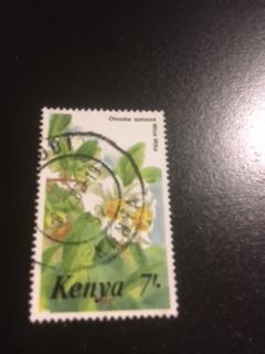 Kenya sc 354 u hi value bird