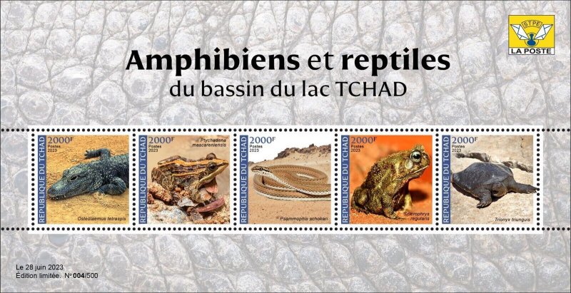 CHAD 2023 SHEET REPTILES - CROCODILE FROGS TOAD SNAKES TURTLE TURTLES - MNH-