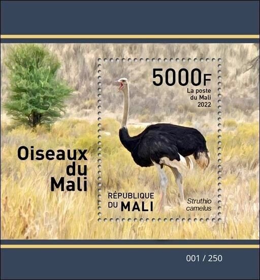 MALI 2022 SOUVENIR SHEET BLOCK - OSTRICH BIRDS OF OBIRDS DU - RARE MNH-