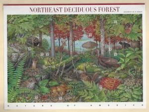 US Sheet 3899 Northeast Deciduous Forest