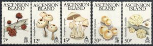 Ascension Stamp 323-327  - Mushrooms