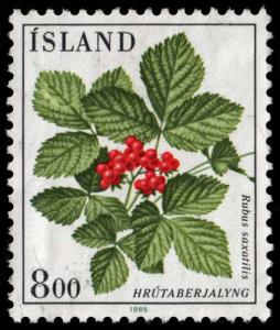 Iceland - Scott 602 - Used