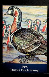 RUSSIA - DUCK STAMP OF 1997 IN PRESENTATION FOLDER - (AF24)