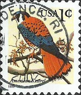 # 3031 USED AMERICAN KESTREL
