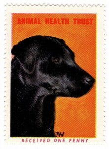 (I.B) Cinderella Collection : Animal Health Trust 1d (Labrador)