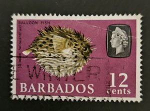 Barbados 1965  SG329 used 12c. Porcupine fish