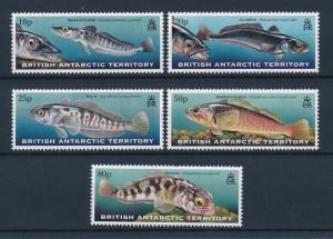 [47379] British Antarctic Territory 1999 Marine life Fish MNH