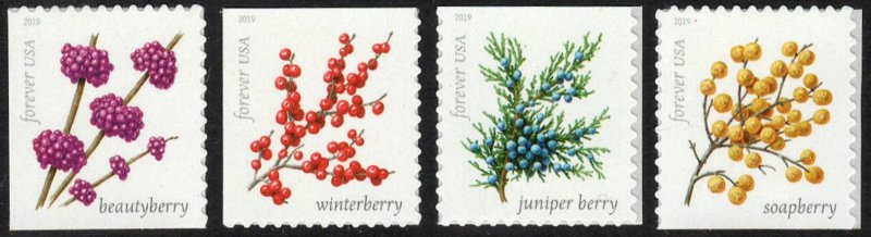 USA Sc. 5418a (55c) Winter Berries 2019 MNH bklt. singles