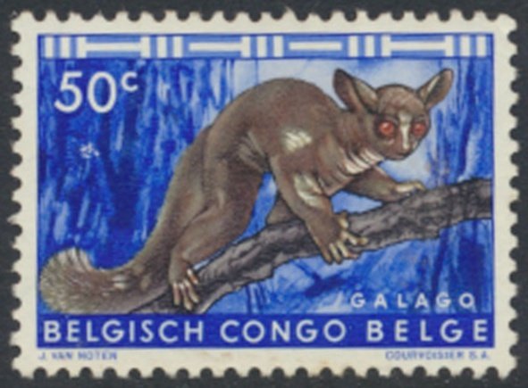 Belgium Congo  Sc#  309  Bushbaby no gum no cancel  see details  / scans 