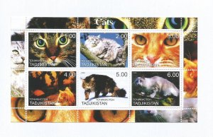 TADZHIKISTAN - 2000 - Cats - Perf 6v Sheet - MLH - Private